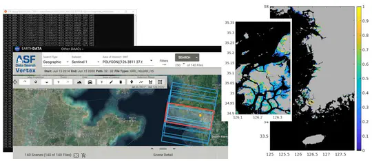 Spatiotemporal variability of coastal wetlands using imaging radar data